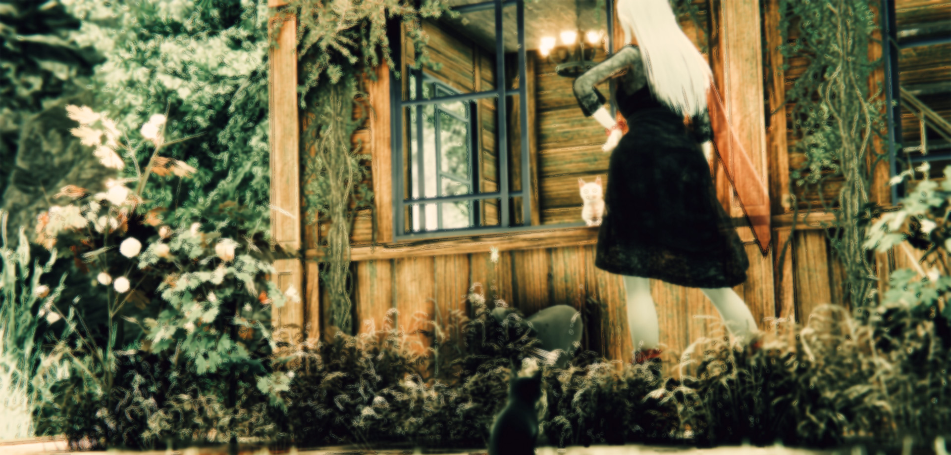 メインイメージ